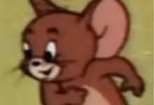 AI查重率太高!几个小妙招帮你解决!-ai论文润色