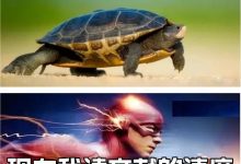 谁懂啊家人们!AI帮我读文献的感觉太丝滑了-ai论文润色