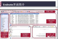 文献管理软件EndNote-ai论文润色