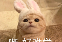 今晚7点直播 | 高效VS高质:文献综述的AI准备-ai论文润色