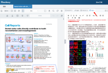 用这个读文献:一天100篇不止-ai论文润色